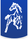 Ecuries Team GM centre Equestre de la meilleraie, les Sorinières proche de Nantes et de Rezé (44) - cours d'équitation, des stages d'initiation ou de perfectionnemment, des randonnées avec Eva Cavalière pro